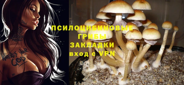 прущая мука Нязепетровск