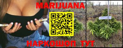 стафф Абакан