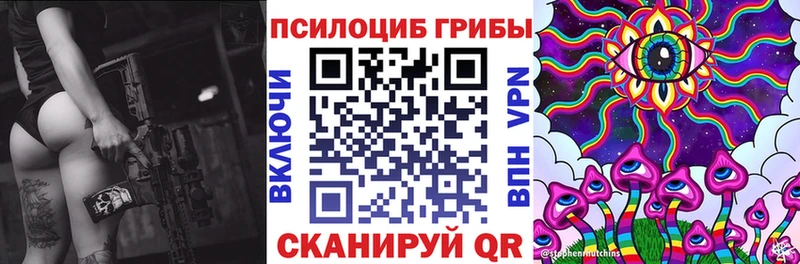 Псилоцибиновые грибы мицелий  mega вход  Майкоп 