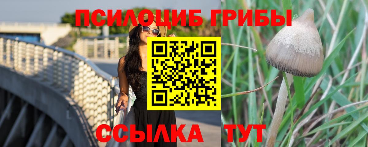 Псилоцибиновые грибы GOLDEN TEACHER  Вход с VPN  Псилоцибиновые грибы Psilocybine cubensis  Майкоп 