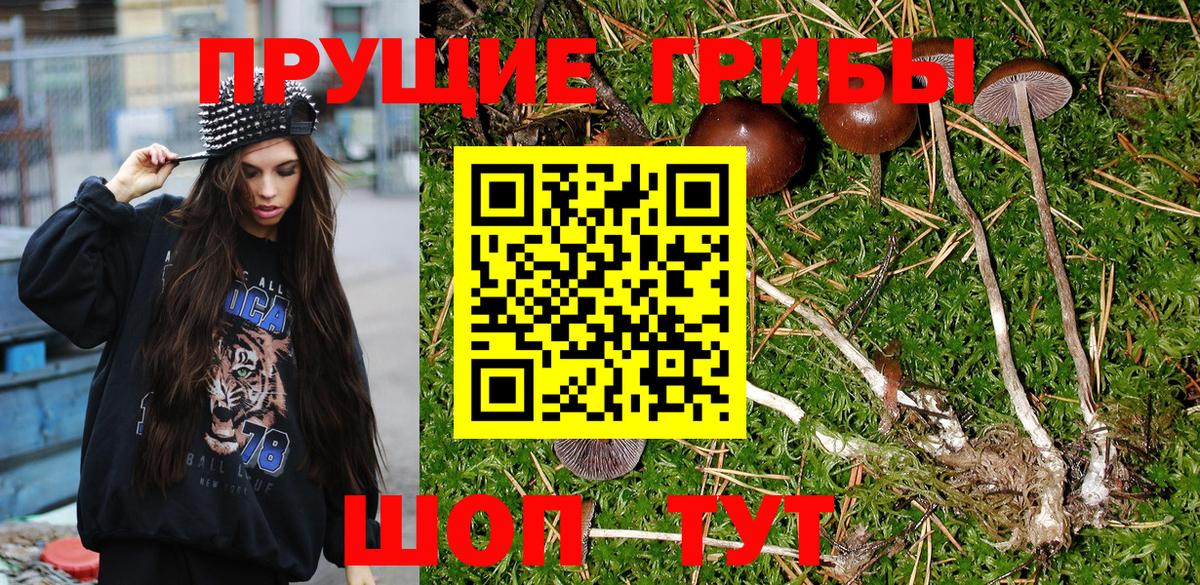 Псилоцибиновые грибы ЛСД  где купить   Майкоп 